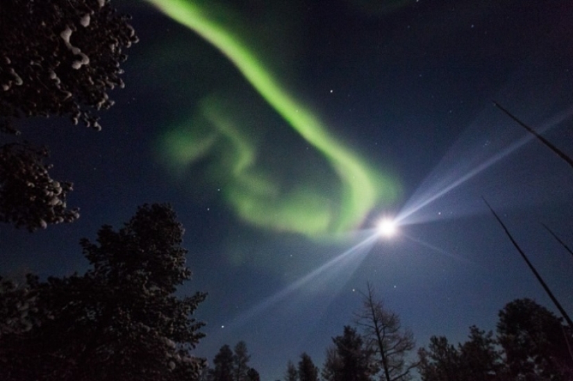 Un día en la vida de un ermitaño polar