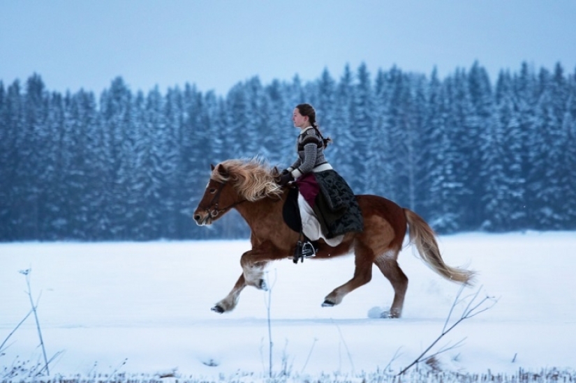 Un día en la vida de un ermitaño polar