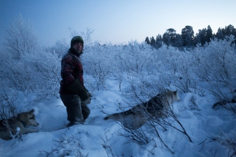 Un día en la vida de un ermitaño polar