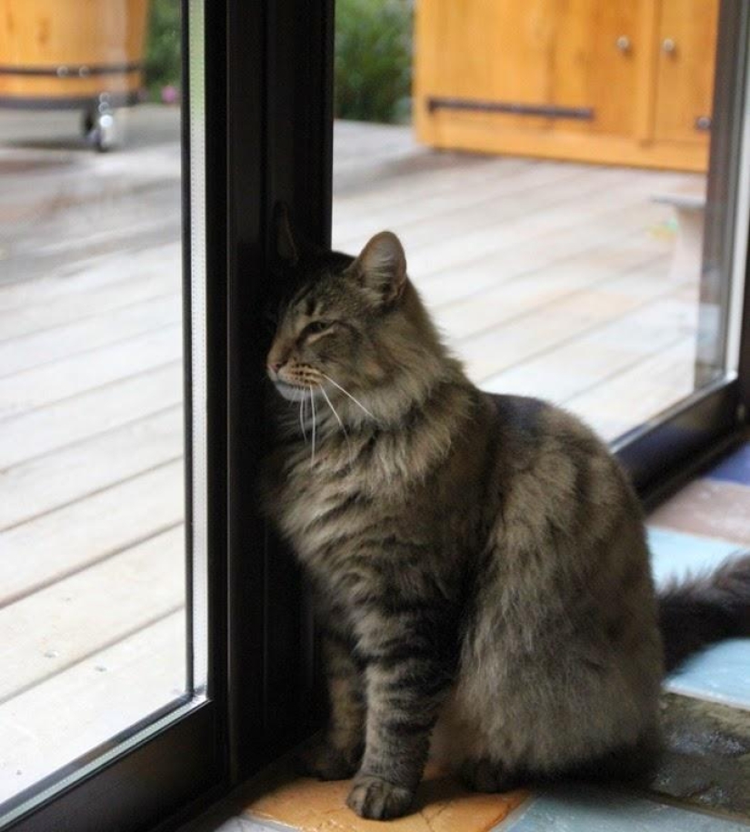 Un día en un pueblo francés
