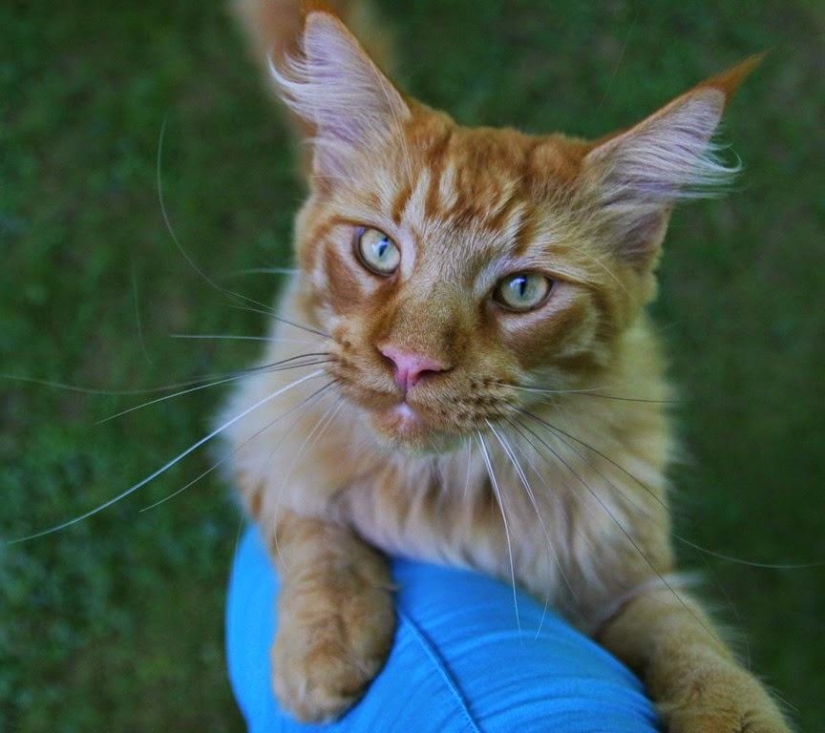 Un día en un pueblo francés