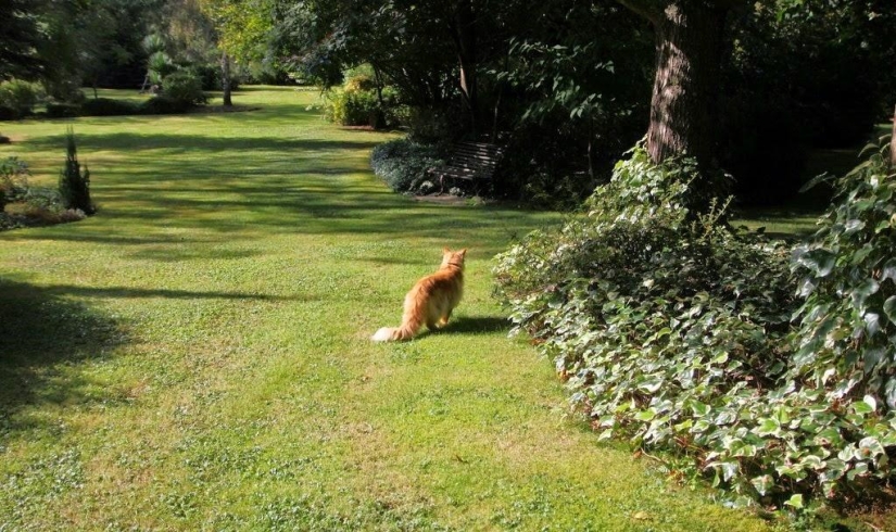 Un día en un pueblo francés