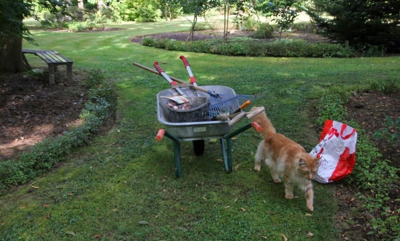 Un día en un pueblo francés