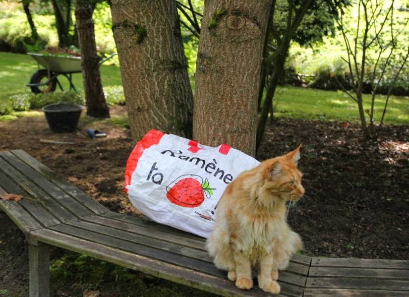 Un día en un pueblo francés