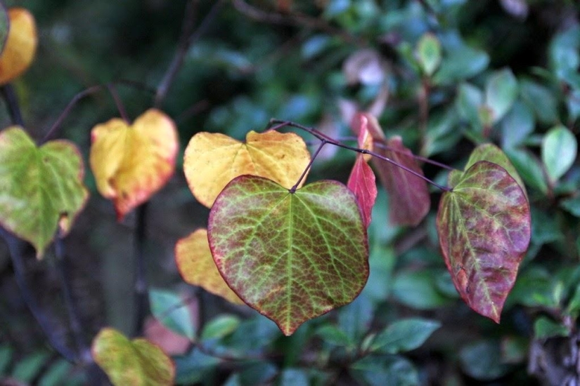 Un día en un pueblo francés