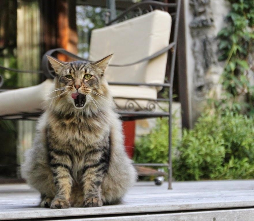 Un día en un pueblo francés