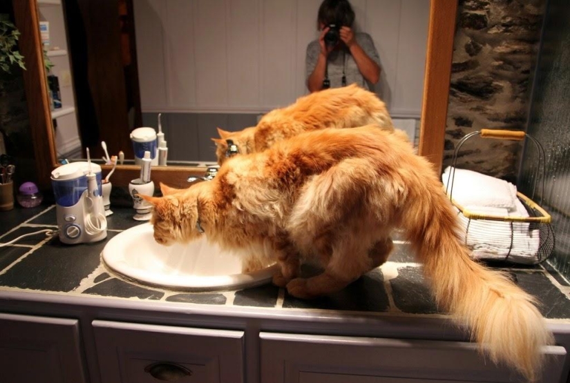 Un día en un pueblo francés