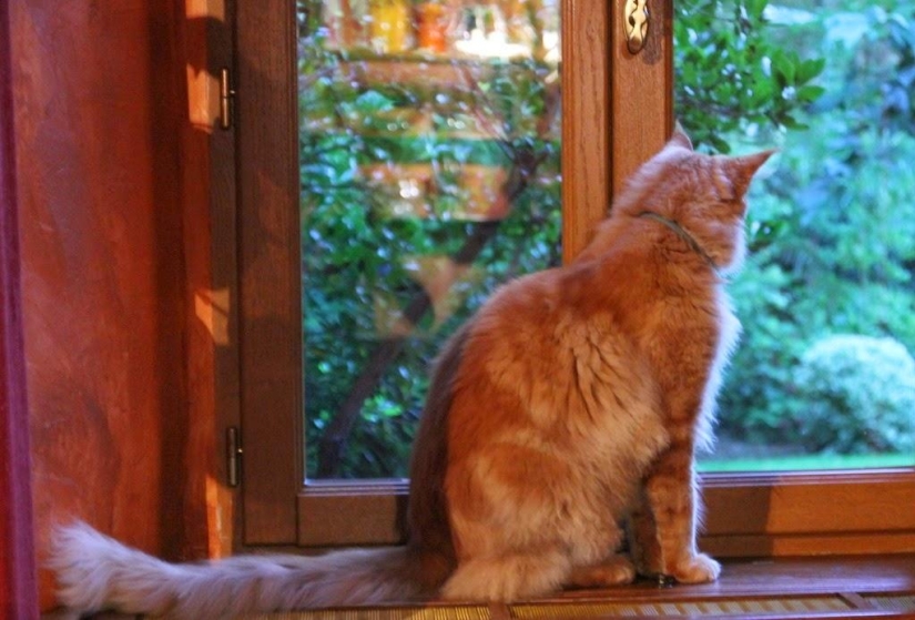 Un día en un pueblo francés