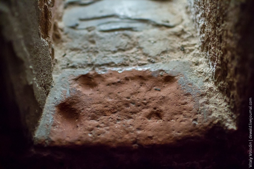 Un día en una prisión sueca