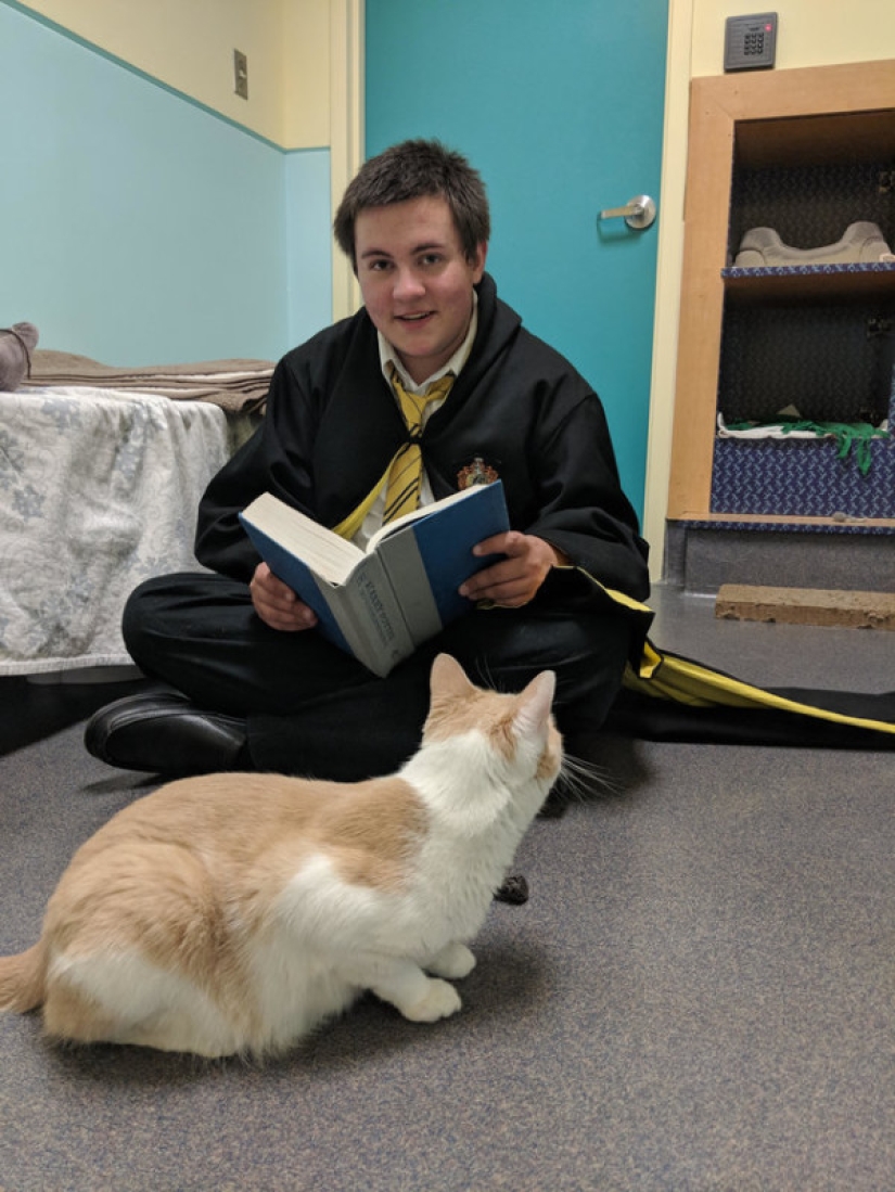 Un estadounidense domesticó a un gato ciego sin hogar leyéndole libros de Harry Potter Un estadounidense domesticó a un gato ciego sin hogar leyéndole libros de Harry Potter