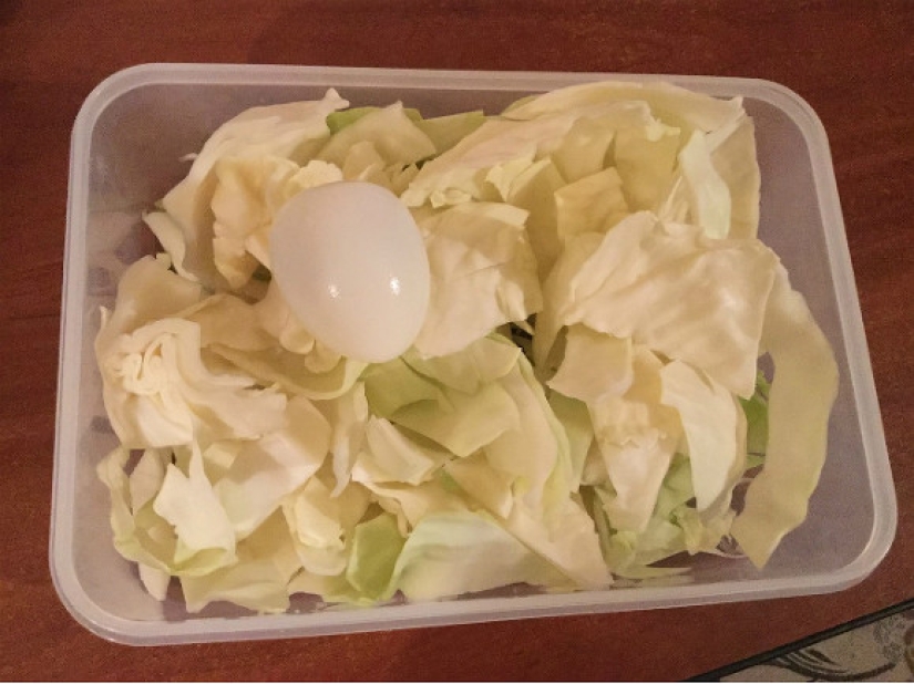 Un estudiante de San Petersburgo vivió durante un mes con una beca de 1.572 rublos e instó a todos a ser más modestos Un estudiante de San Petersburgo vivió durante un mes con una beca de 1.572 rublos e instó a todos a ser más modestos