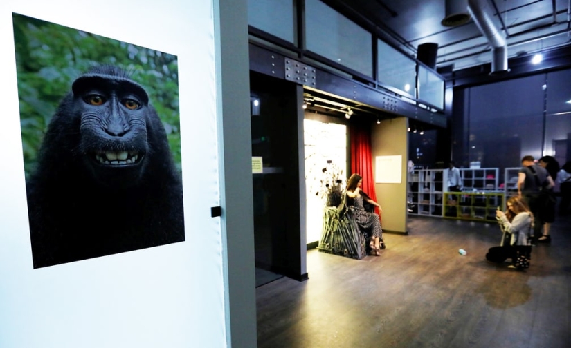 Un ex residente de un Club de Comedia abrió un museo de selfies en los Estados Unidos