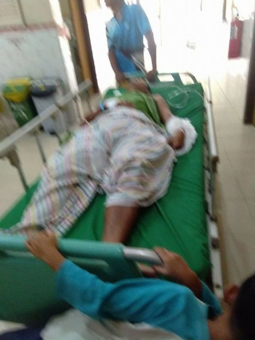 Un hombre luchó en una pelea mortal con una pitón de siete metros