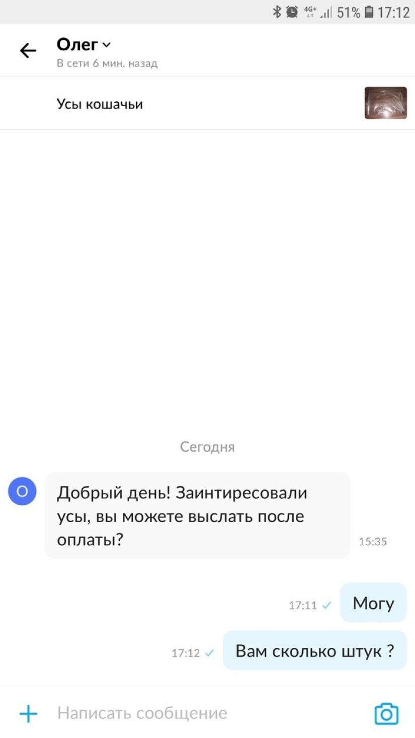 Un hombre puso a la venta bigotes de gato, y un comprador con solicitudes específicas se interesó en ellos Un hombre puso a la venta bigotes de gato, y un comprador con solicitudes específicas se interesó en ellos