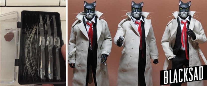 Un hombre puso a la venta bigotes de gato, y un comprador con solicitudes específicas se interesó en ellos Un hombre puso a la venta bigotes de gato, y un comprador con solicitudes específicas se interesó en ellos