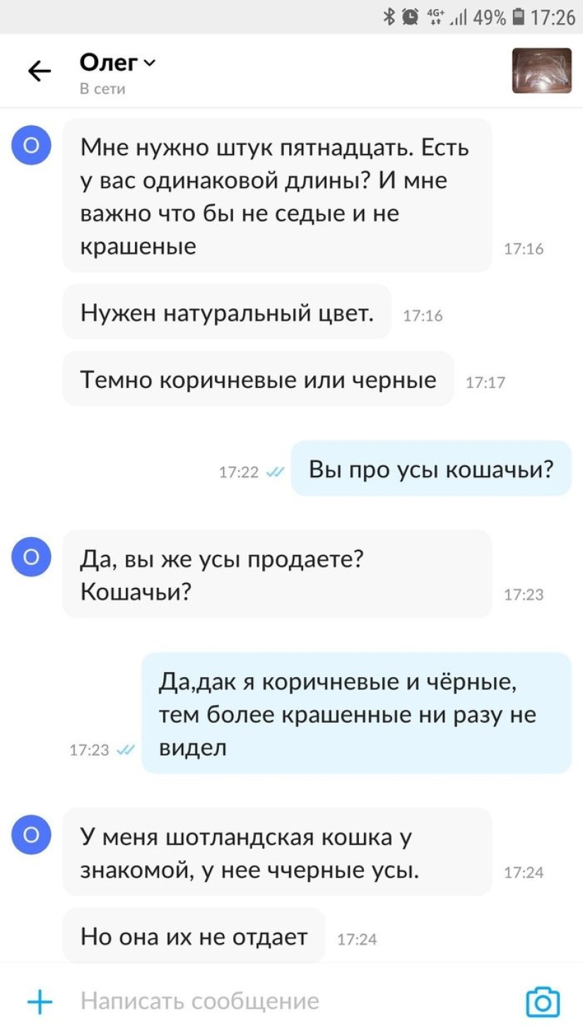 Un hombre puso a la venta bigotes de gato, y un comprador con solicitudes específicas se interesó en ellos Un hombre puso a la venta bigotes de gato, y un comprador con solicitudes específicas se interesó en ellos