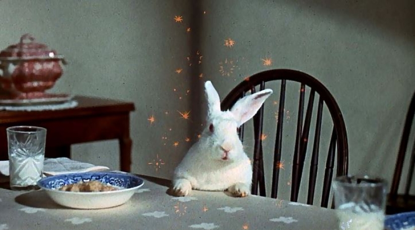 Un importante conejo blanco cabalga por Londres como una liebre Un importante conejo blanco cabalga por Londres como una liebre