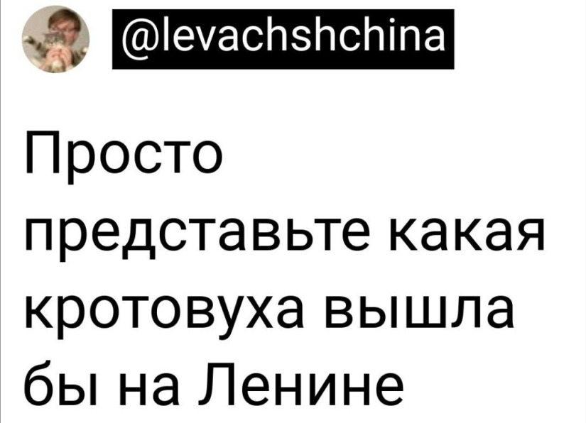 Un misterioso topo ha capturado las mentes de los conocedores del alcohol en línea