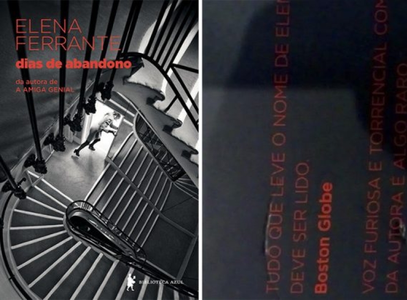 Un perro callejero roba un libro de una librería y se convierte en una celebridad