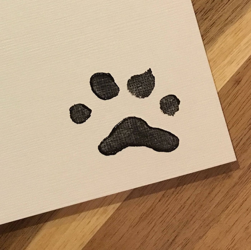 Un perro de la raza Shiba Inu dibuja y gana miles de dólares con él