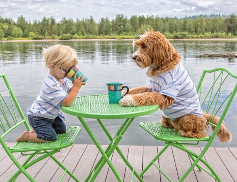 Un perro es el mejor amigo de una persona. Un niño y un cachorro no se separan ni siquiera en un sueño