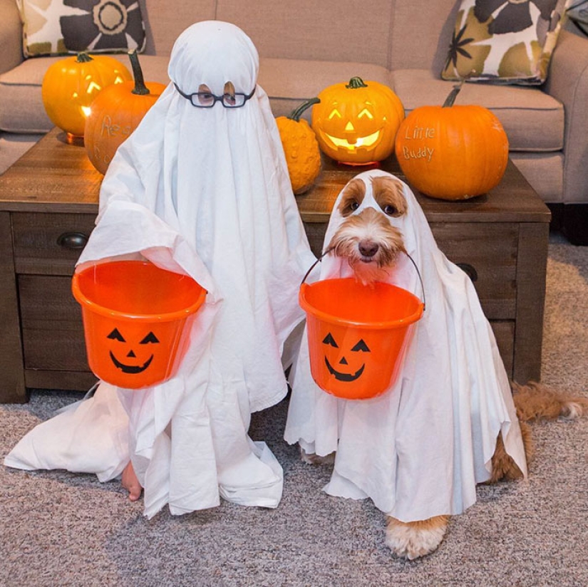 Un perro es el mejor amigo de una persona. Un niño y un cachorro no se separan ni siquiera en un sueño