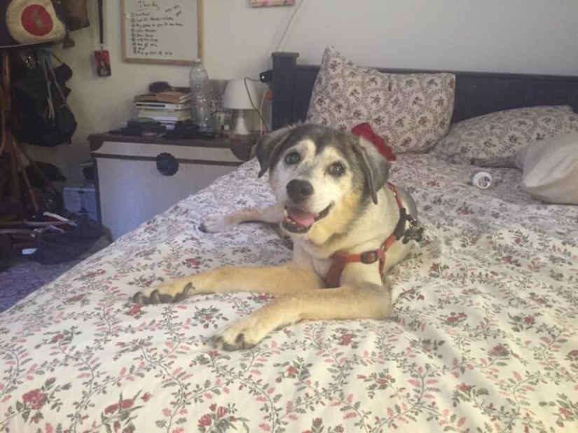 Un regalo con tus propias manos y lo que salió de él