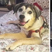 Un regalo con tus propias manos y lo que salió de él