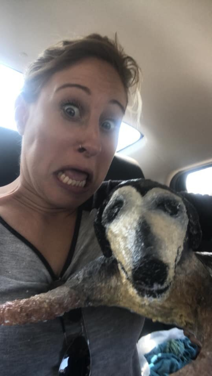 Un regalo con tus propias manos y lo que salió de él