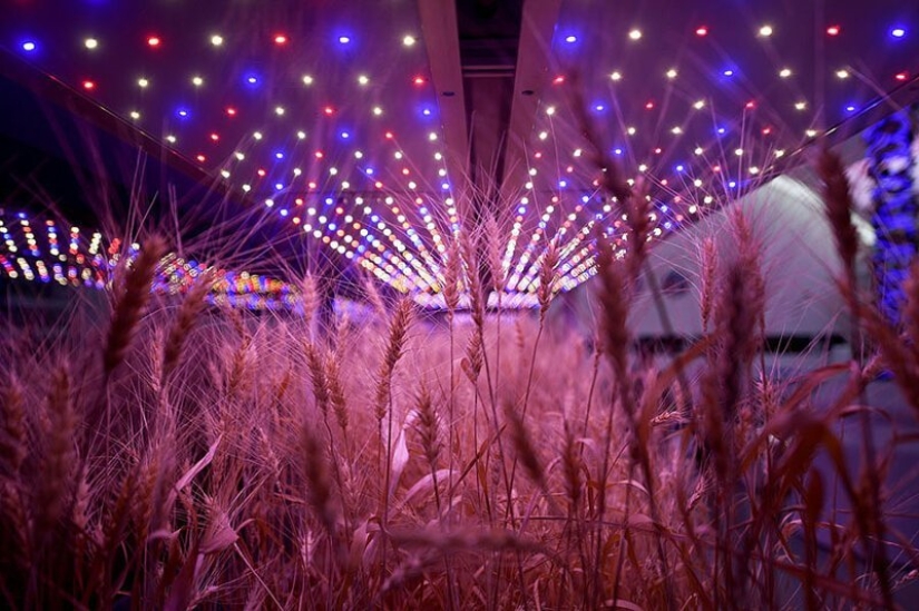 Una empresa china ha creado una simulación de Marte en el desierto de Gobi