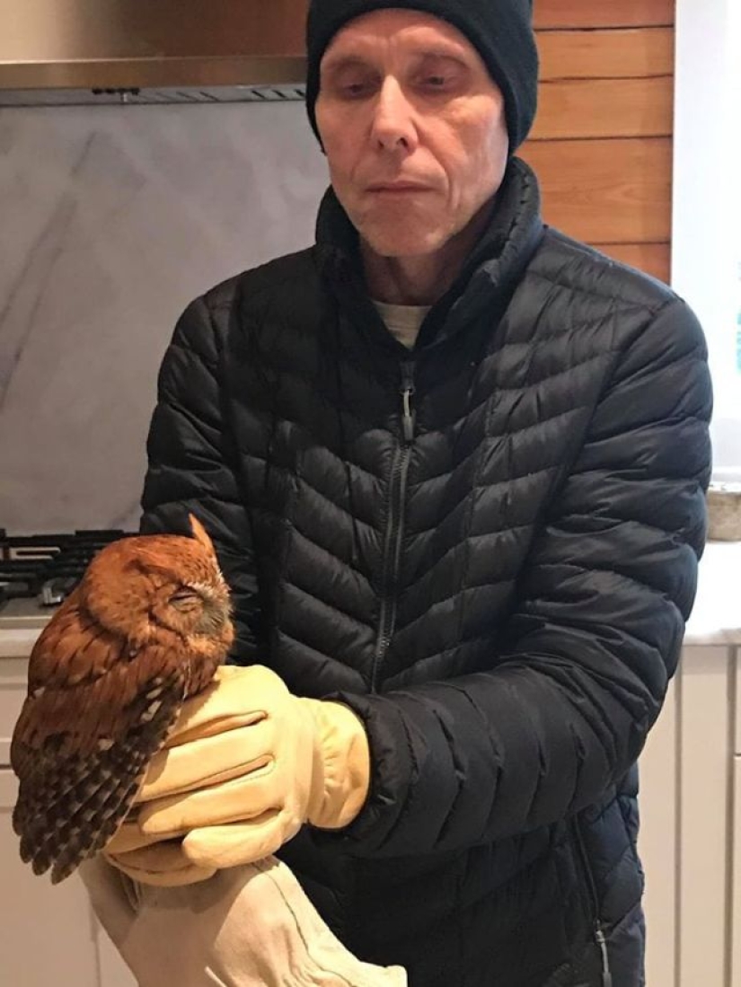 Una familia estadounidense se compró un árbol de Navidad con una pequeña sorpresa