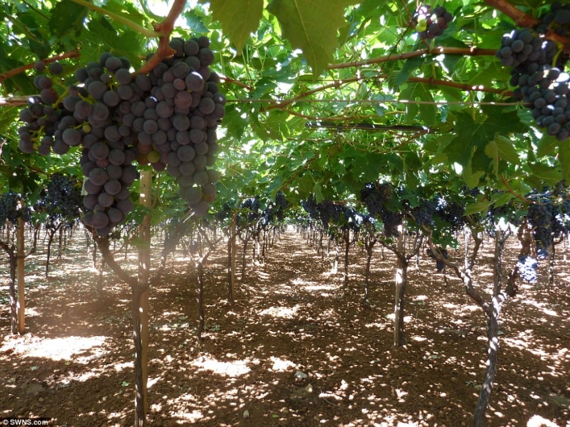 Una finca italiana del siglo XVII se rifa en una lotería por 150 rublos