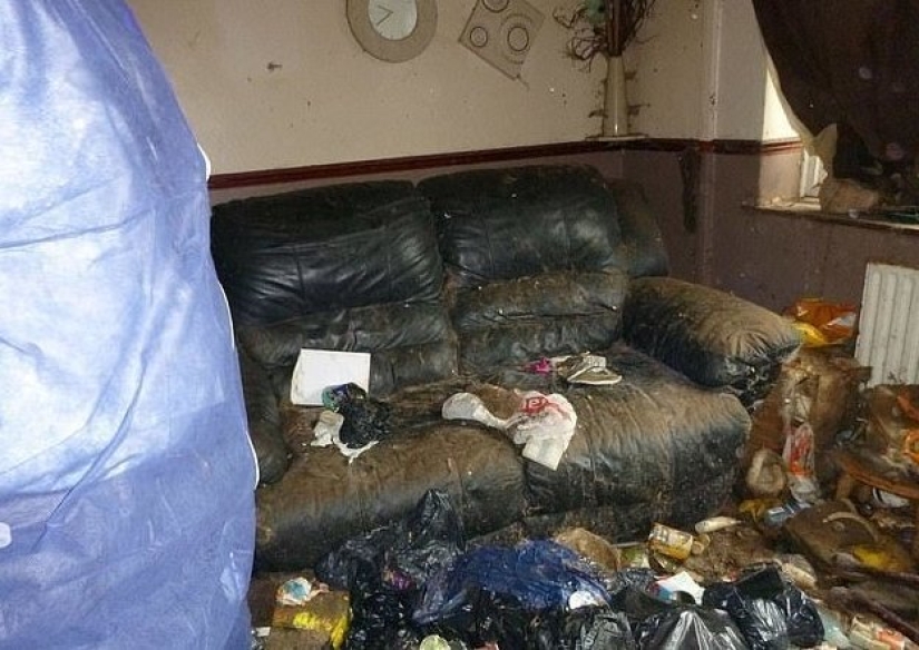 Una gatina británica fue enviada a prisión y se le prohibió tener animales de por vida después de lo que vio en su apartamento