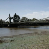 Una isla de toallitas húmedas ha aparecido en Londres