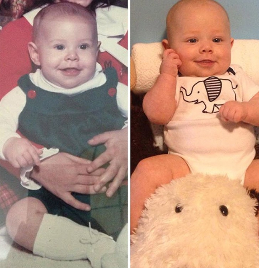 Una manzana de un manzano-padres e hijos de la misma edad Una manzana de un manzano-padres e hijos de la misma edad