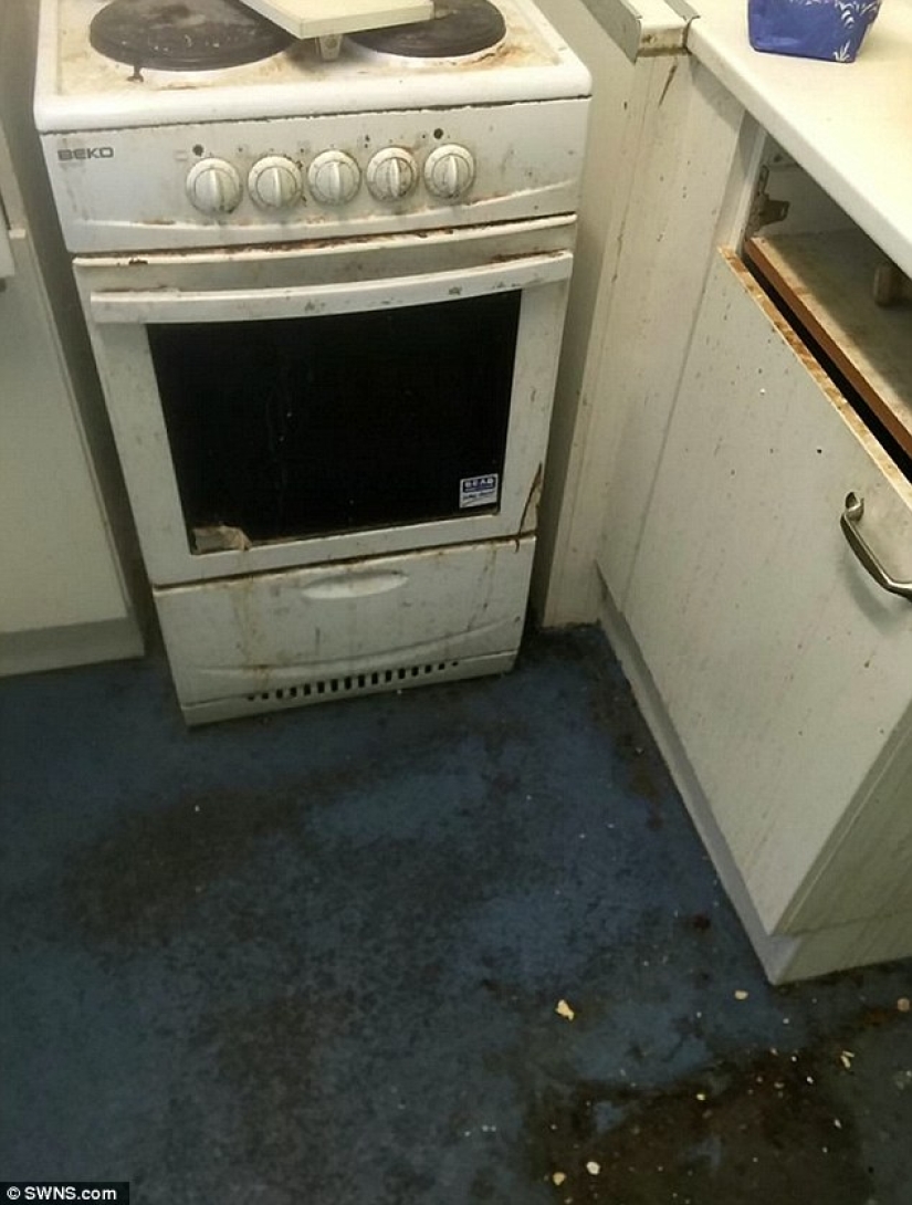 Una mujer británica, después de enterarse de que un vecino anciano no había limpiado ni lavado durante 13 años, cambió su vida