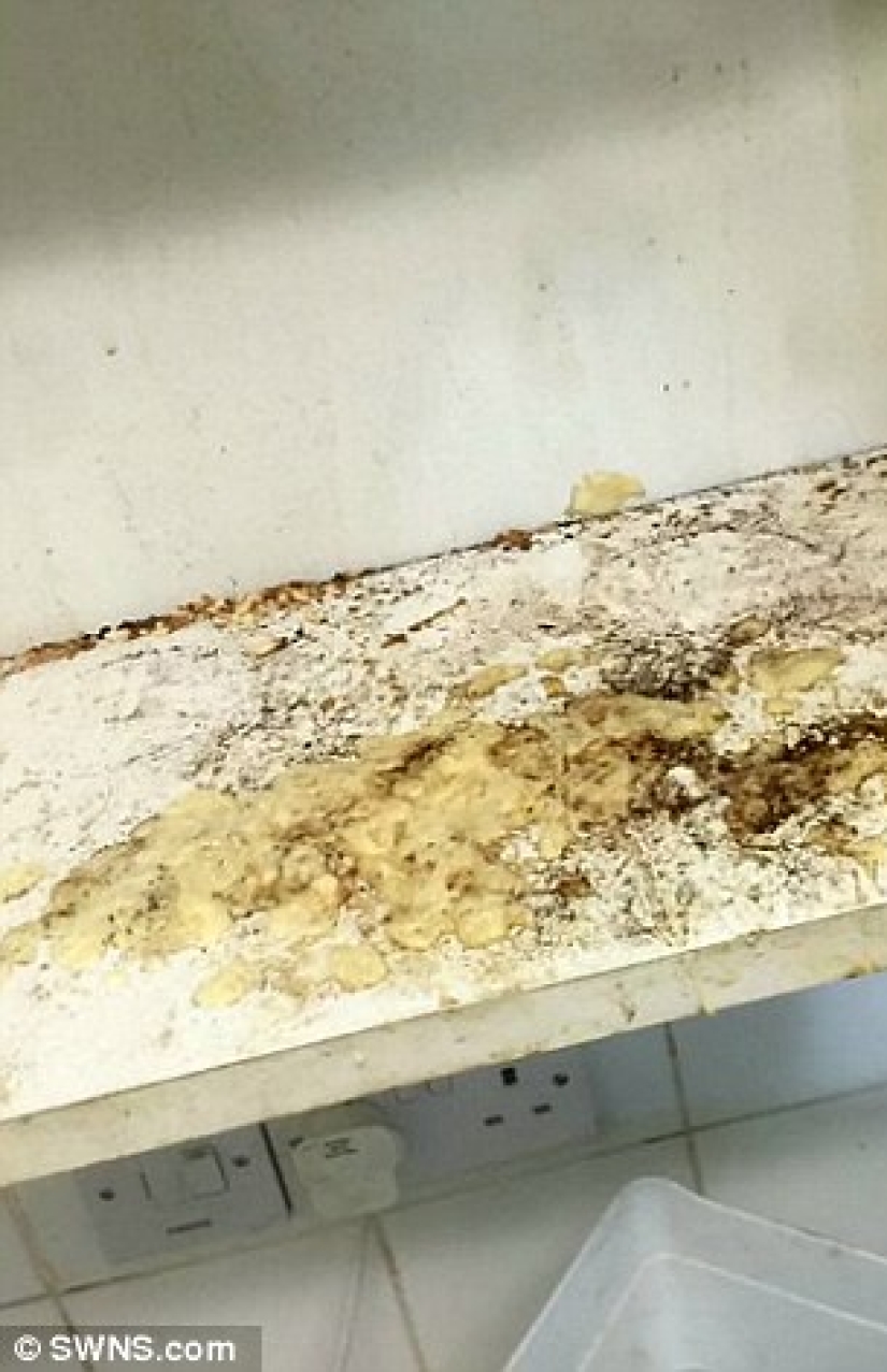 Una mujer británica, después de enterarse de que un vecino anciano no había limpiado ni lavado durante 13 años, cambió su vida