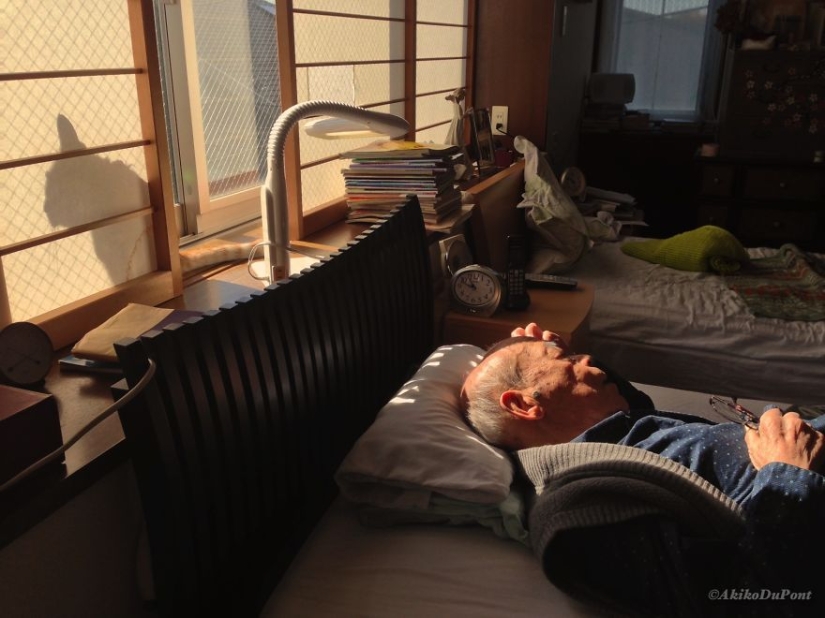 Una mujer japonesa resucitó a su abuelo regalándole un gatito