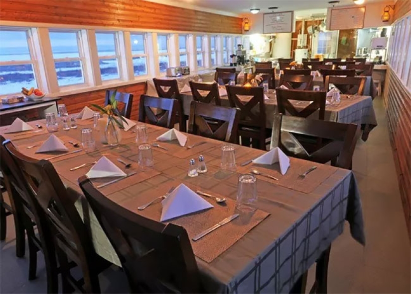 Una noche con osos polares: el primer hotel ártico sobre ruedas