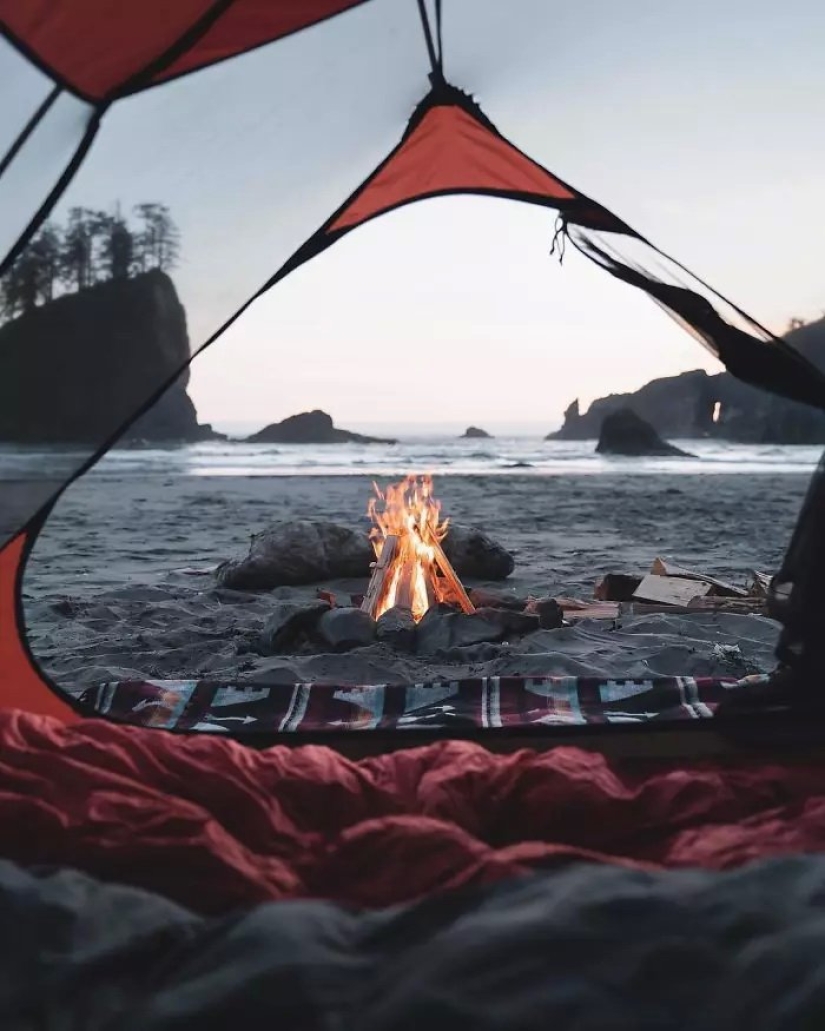 Una nueva tendencia de turismo salvaje: carpas con paredes transparentes