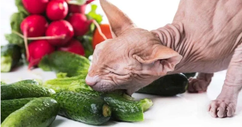 Una nueva tendencia navideña para hombres elegantes