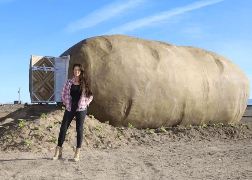 Una "patata" gigante que se convirtió en un mini-hotel Una "patata" gigante que se convirtió en un mini-hotel