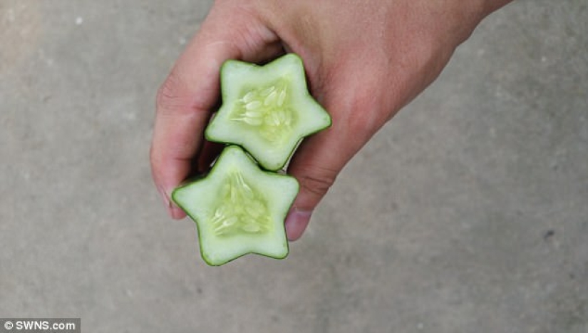 Una pera en forma de Buda y otras verduras y frutas de formas extrañas