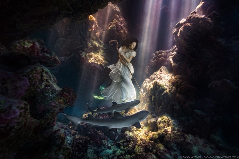 Underwater fairy tale with sharks Underwater fairy tale with sharks