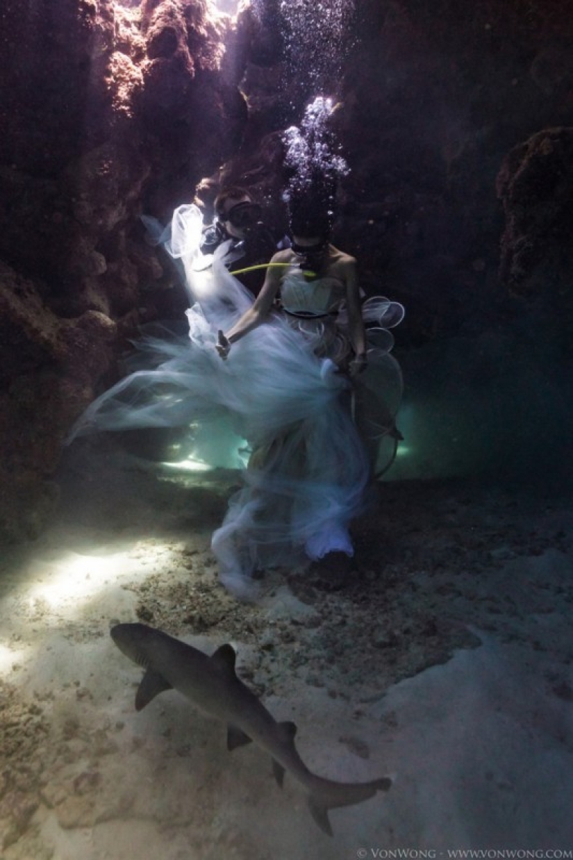 Underwater fairy tale with sharks Underwater fairy tale with sharks