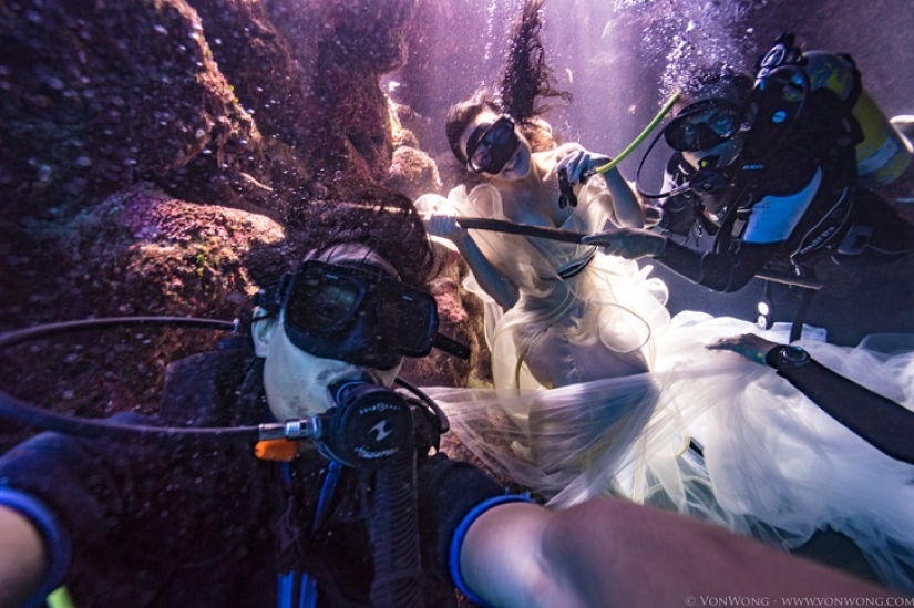 Underwater fairy tale with sharks Underwater fairy tale with sharks