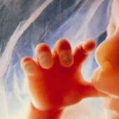 Unique photos: a girl's life before birth