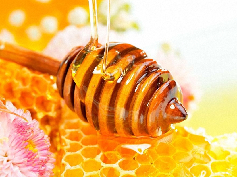 Unique recipes for honey duets Unique recipes for honey duets