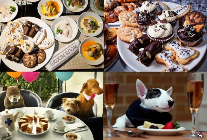 Unique services that hotels offer to their guests Unique services that hotels offer to their guests