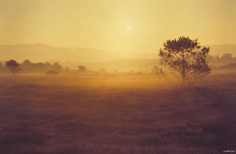 Unknown Spain Unknown Spain